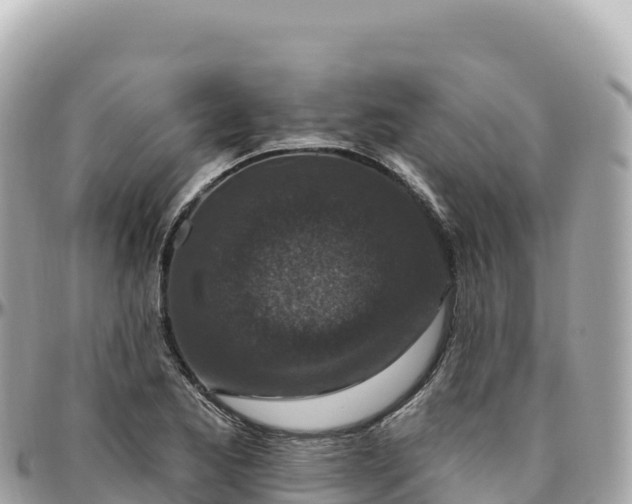 X0000095901173200801251218