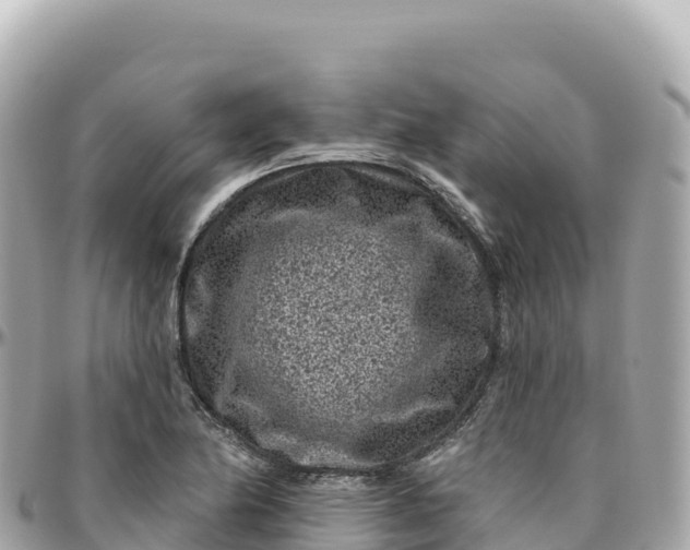 X0000095901174200801251218