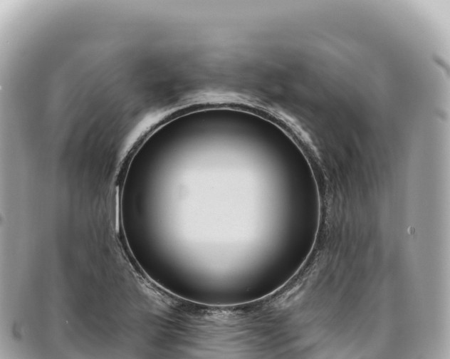 X0000095901175200801251218