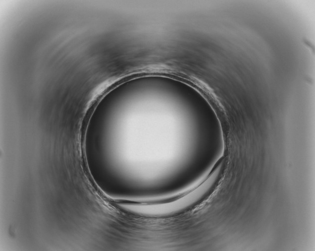 X0000095901176200801251218