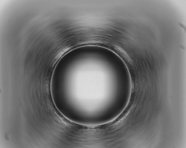 X0000095901177200801251218