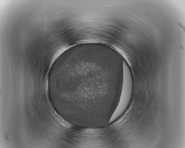 X0000095901179200801251218