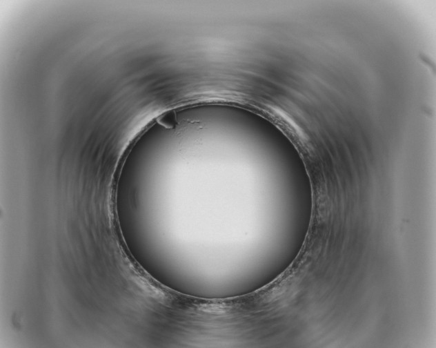 X0000095901182200801251218