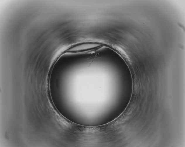 X0000095901183200801251218