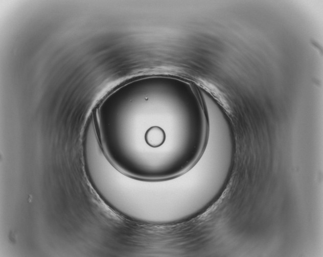 X0000095901184200801251218