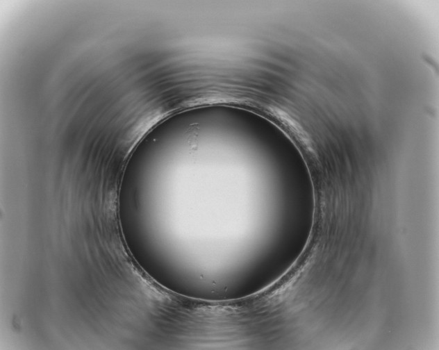 X0000095901185200801251218