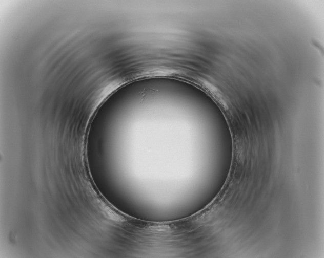 X0000095901186200801251218