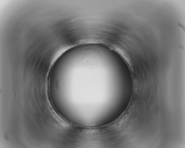 X0000095901187200801251218