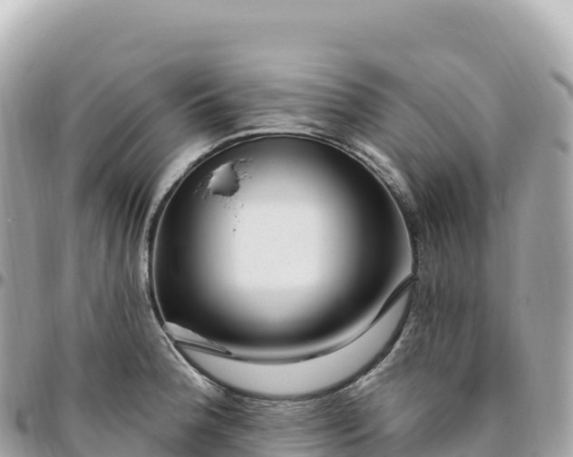 X0000095901188200801251218