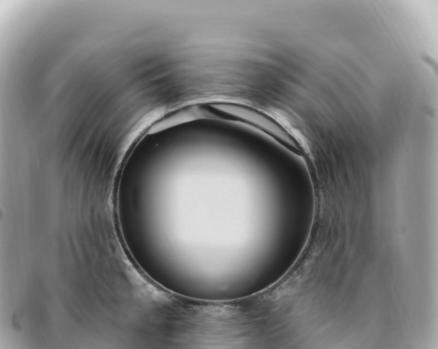 X0000095901189200801251218