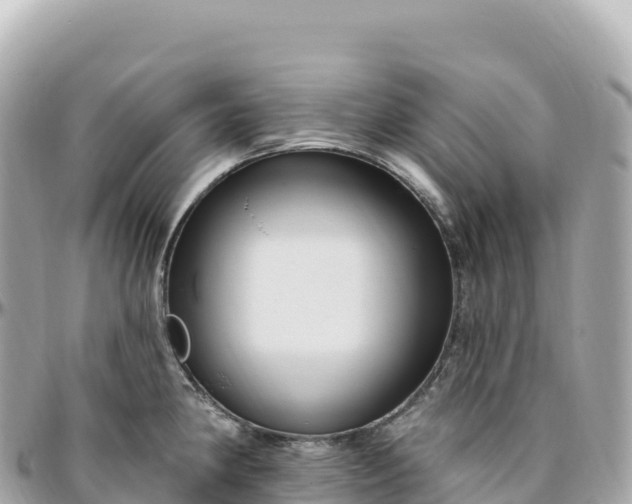 X0000095901190200801251218