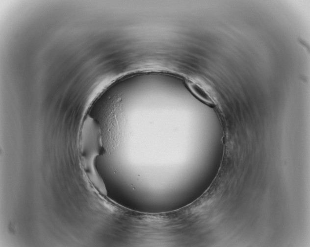 X0000095901191200801251218