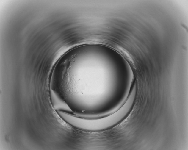 X0000095901192200801251218