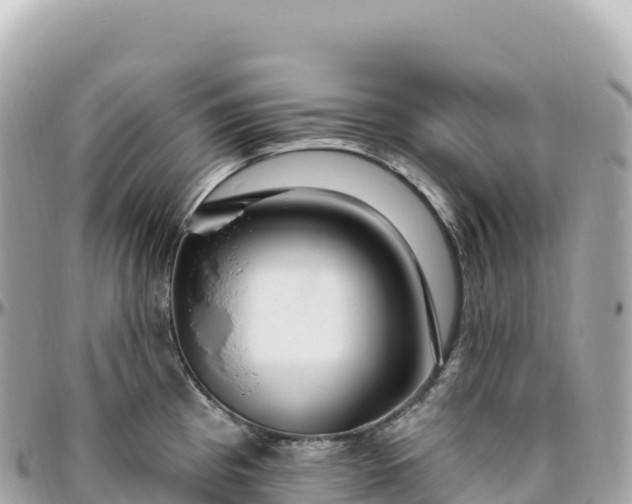 X0000095901193200801251218