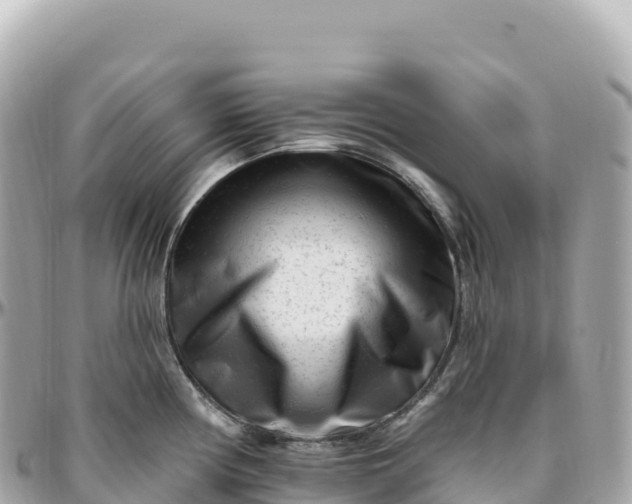 X0000095901194200801251218