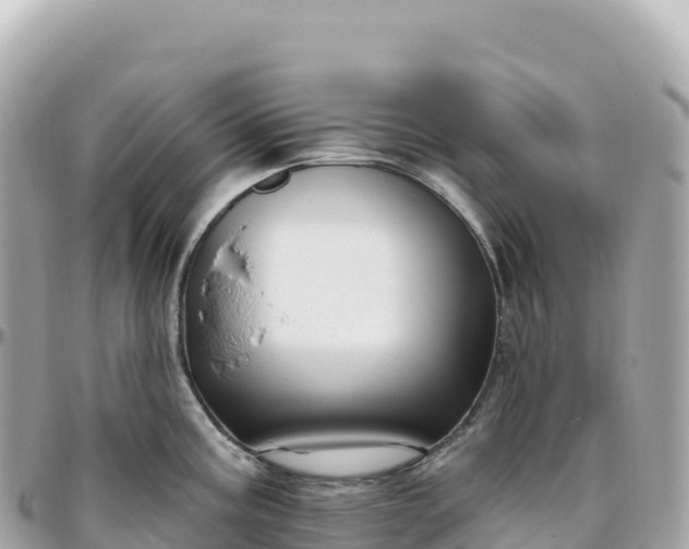 X0000095901195200801251218