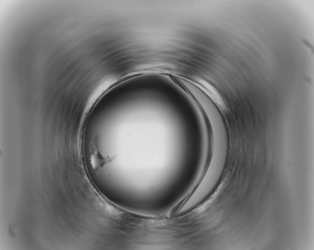 X0000095901196200801251218