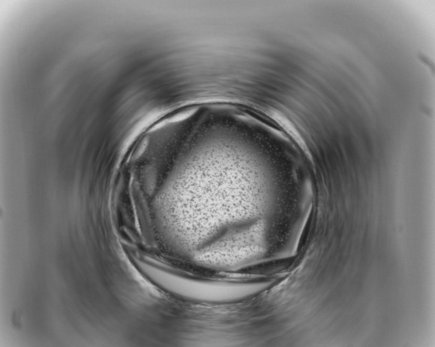 X0000095901197200801251218