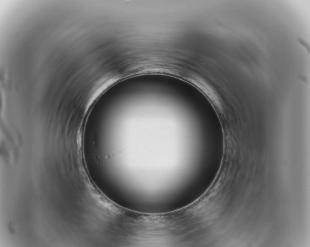 X0000095901198200801251218