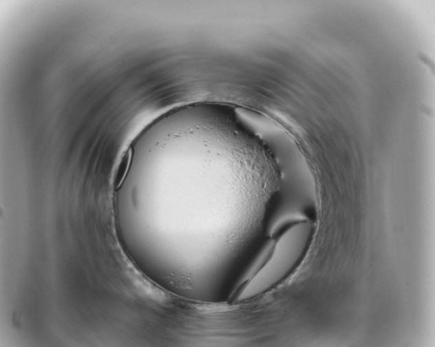 X0000095901200200801251217