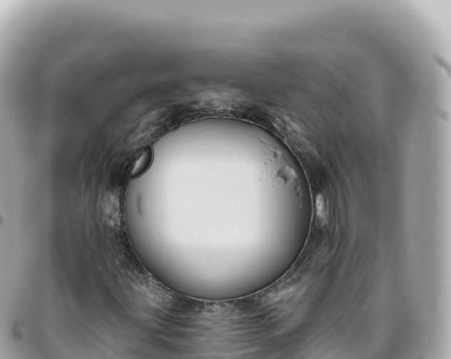 X0000095901203200801251217