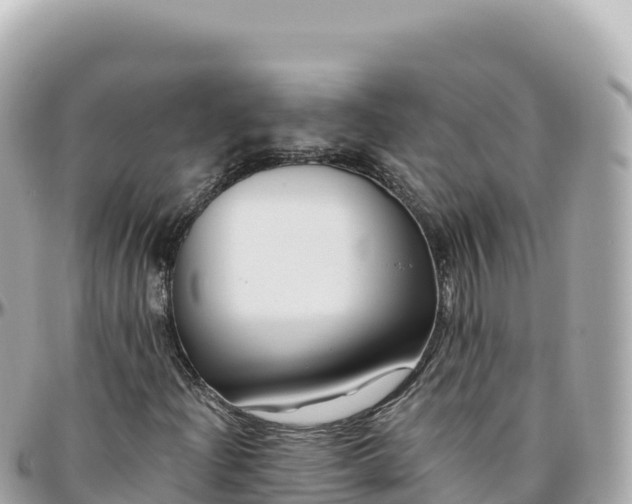 X0000095901204200801251217