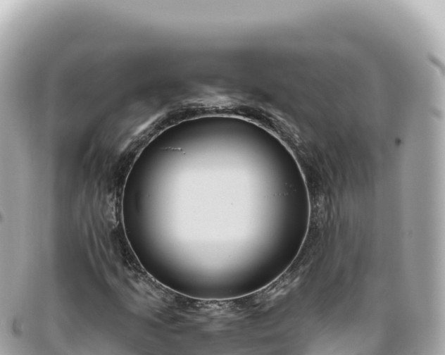 X0000095901205200801251217