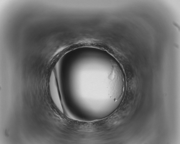 X0000095901206200801251217