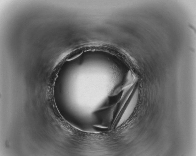 X0000095901208200801251217