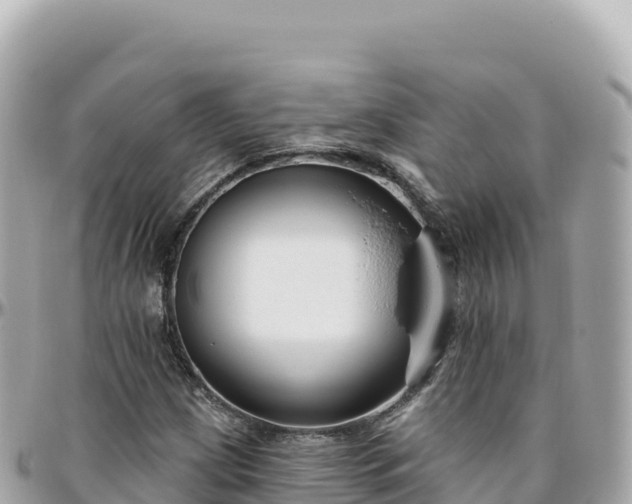 X0000095901209200801251217