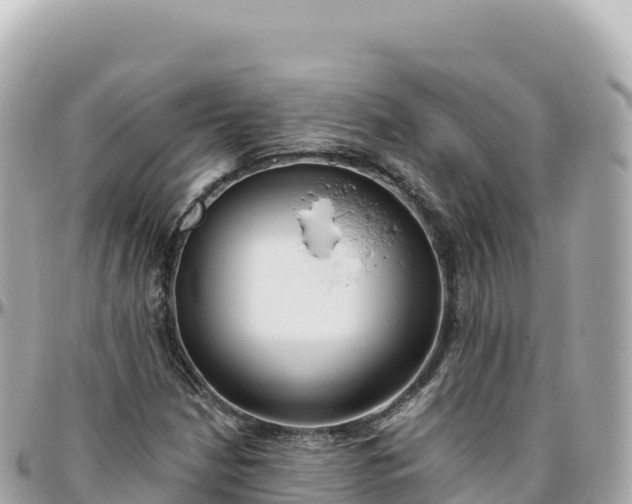 X0000095901210200801251217