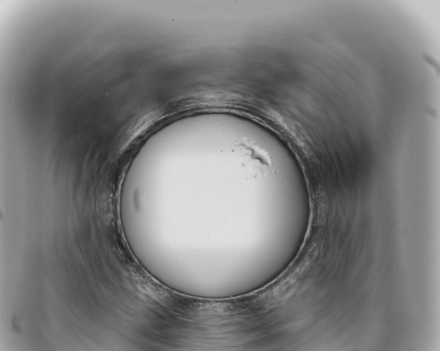 X0000095901211200801251217