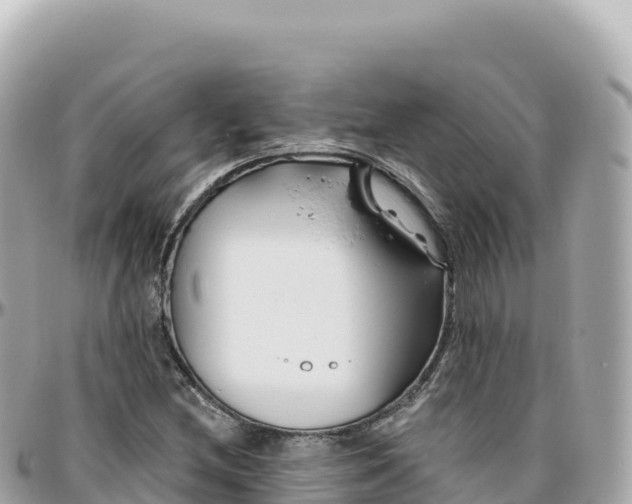 X0000095901212200801251217