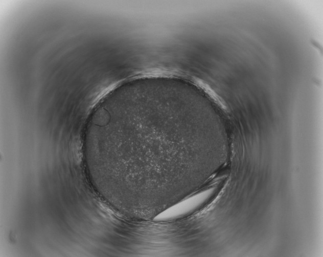 X0000095901213200801251217