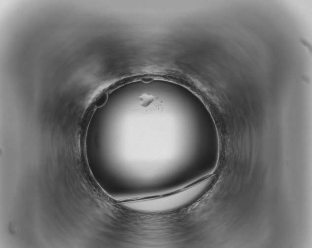 X0000095901214200801251217