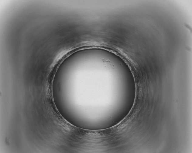 X0000095901215200801251217