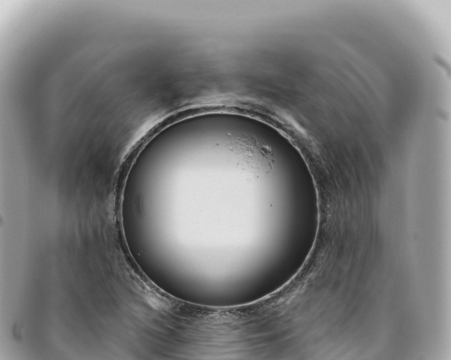 X0000095901216200801251217