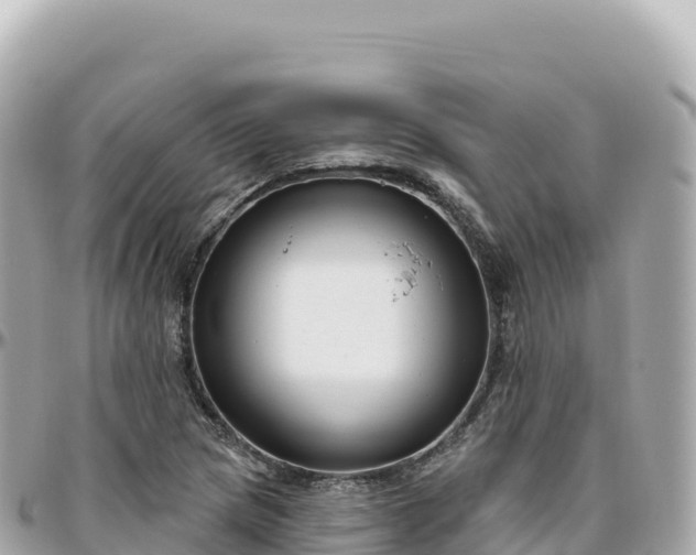 X0000095901217200801251217