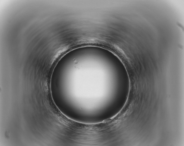 X0000095901218200801251217