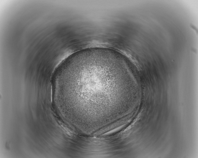 X0000095901219200801251217