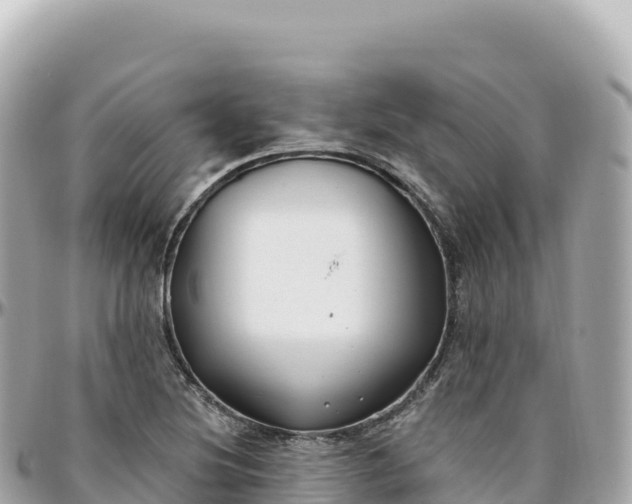 X0000095901220200801251217