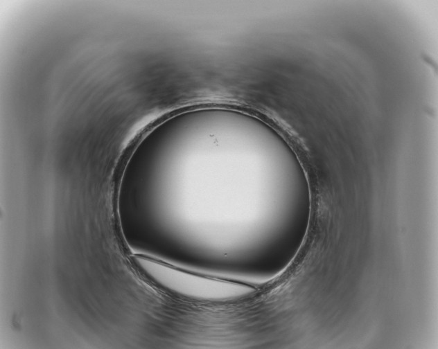 X0000095901222200801251217