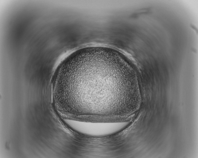 X0000095901223200801251217