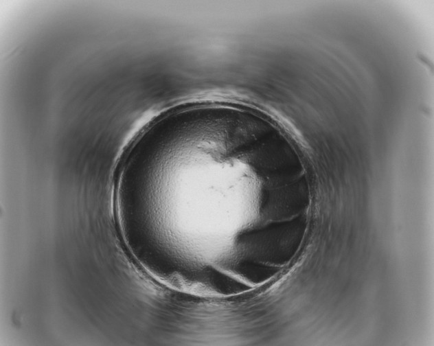 X0000095901224200801251217