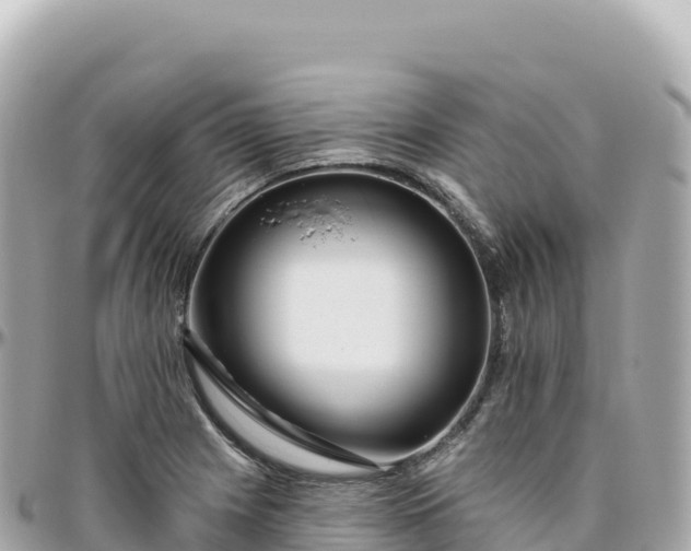 X0000095901225200801251217