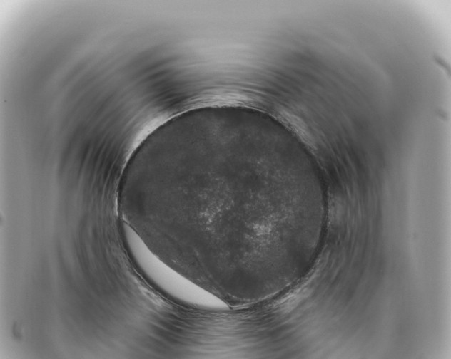 X0000095901226200801251217