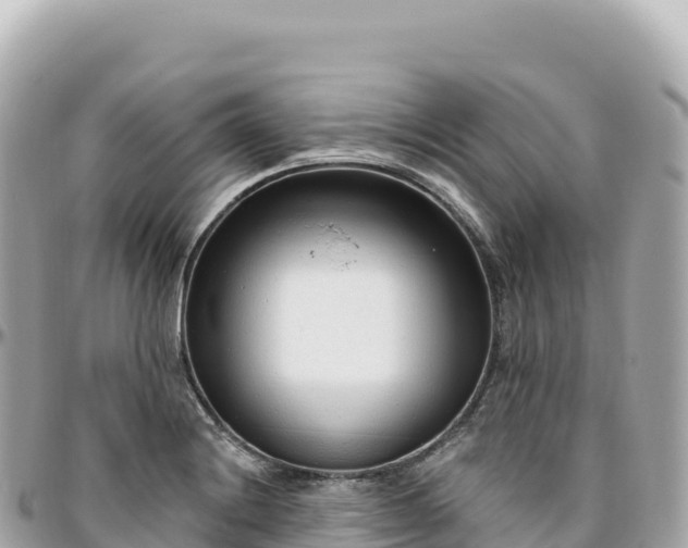 X0000095901228200801251217