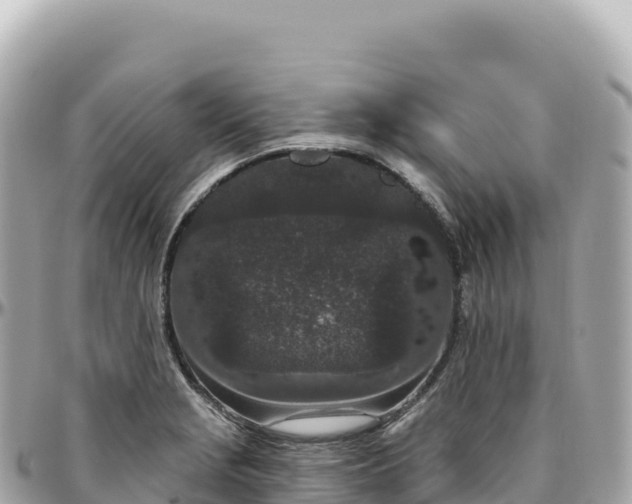 X0000095901229200801251217