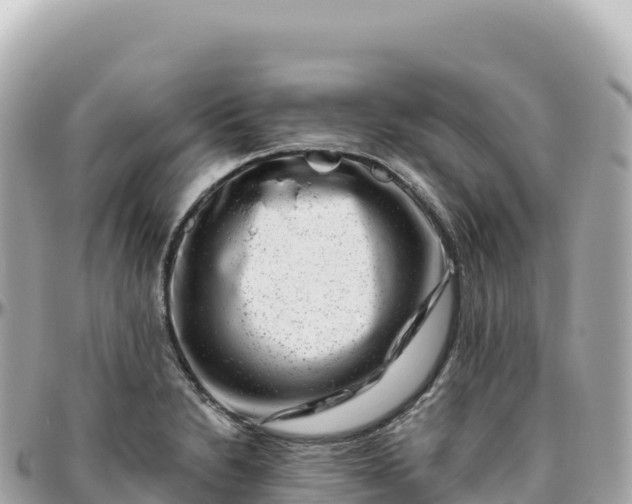 X0000095901230200801251217