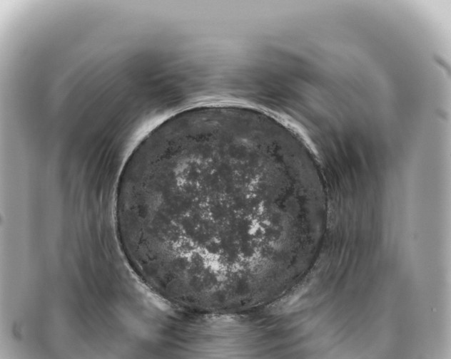 X0000095901231200801251217